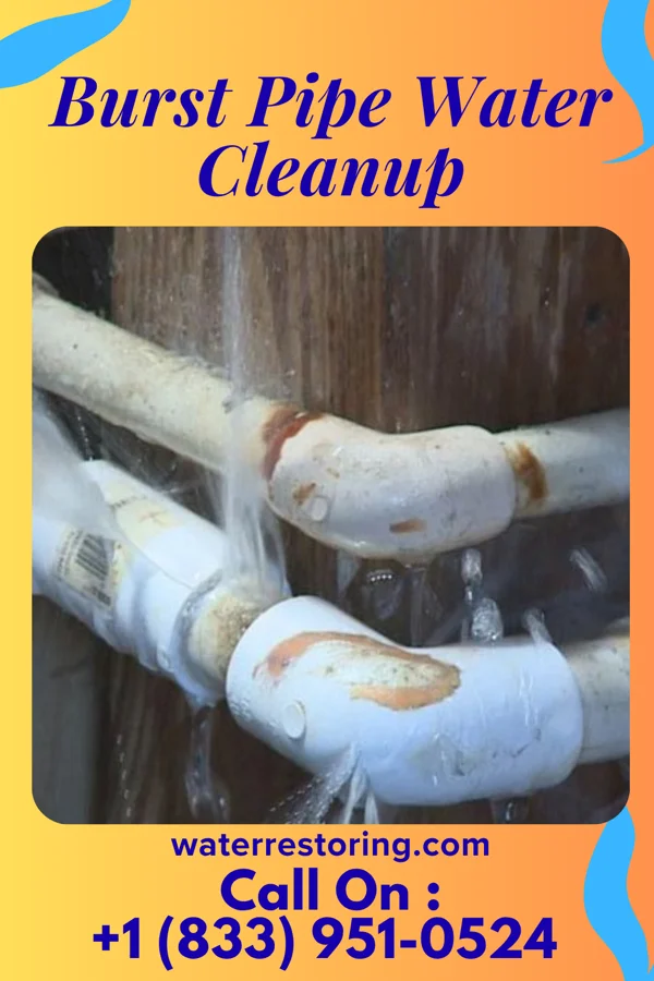 Burst Pipe Water Cleanup in Homestead, OK