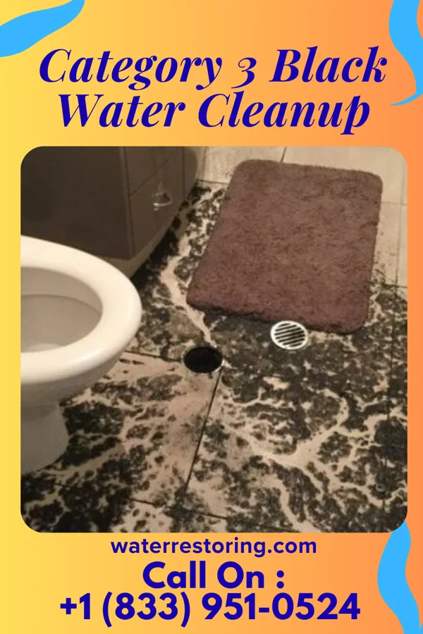 Category 3 Black Water Cleanup in Homestead, OK